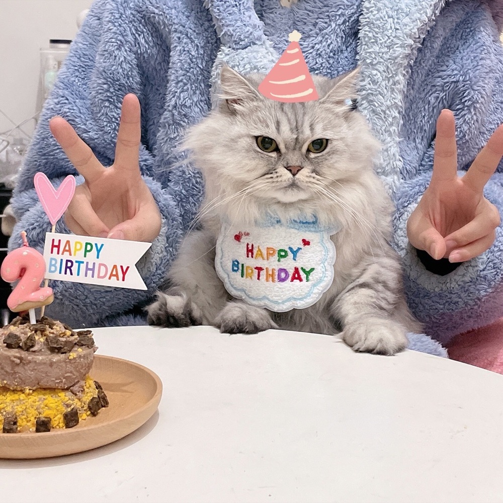 Pet birthday bib Pet Slogan bib dog clothes